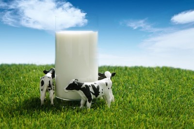 上半年液态乳品消费保持增长,网购渠道销售增长较快